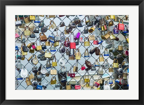 Framed Love Locks On A Fence, Portland, Maine Print