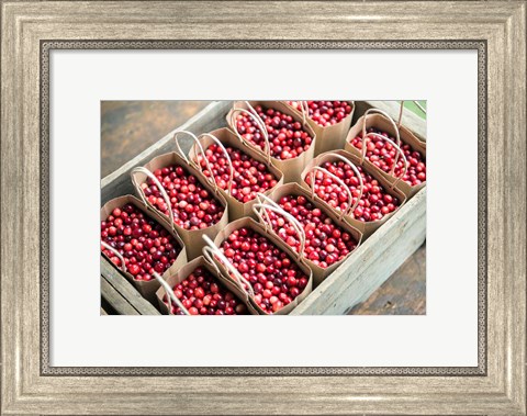 Framed Bagged Cranberries Print