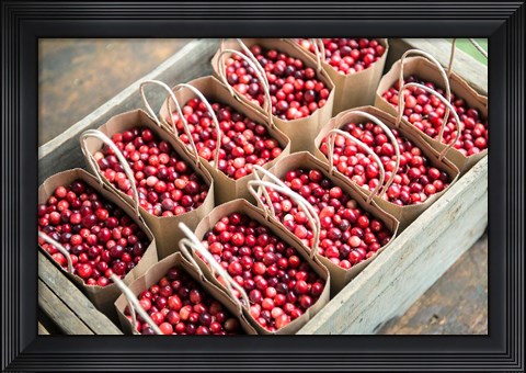 Framed Bagged Cranberries Print