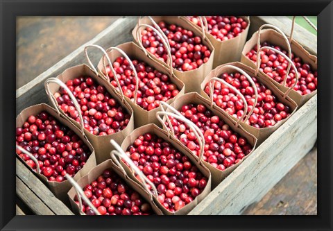 Framed Bagged Cranberries Print