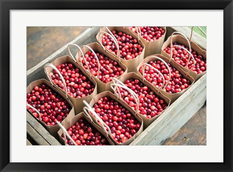 Framed Bagged Cranberries Print