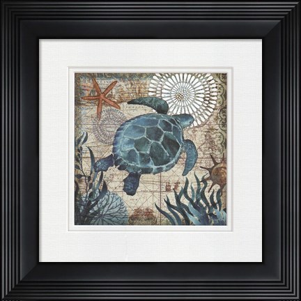 Framed Monterey Bay Turtle Print