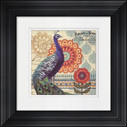 Framed Vintage Peacock I Print