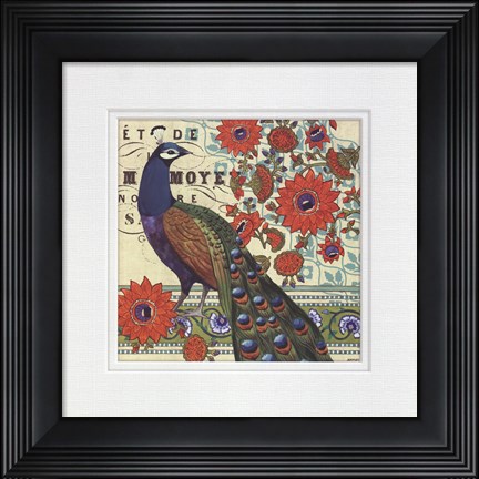 Framed Vintage Peacock II Print