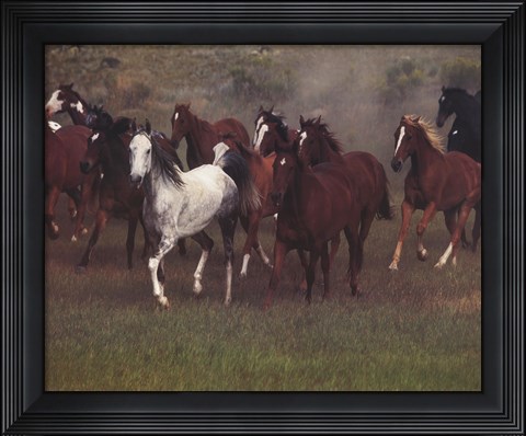 Framed Wild Horses Print