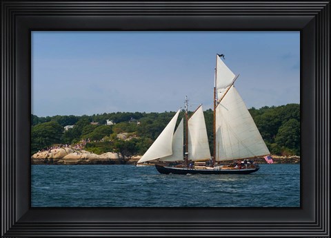 Framed Annual Schooner Festival, Massachusetts Print