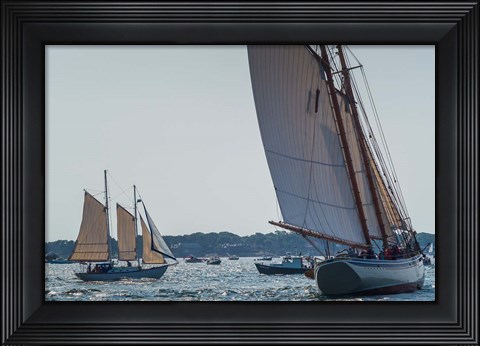 Framed Schooners Sailling, Massachusetts Print