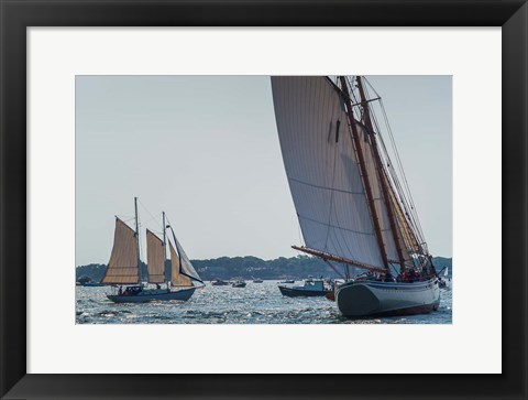 Framed Schooners Sailling, Massachusetts Print