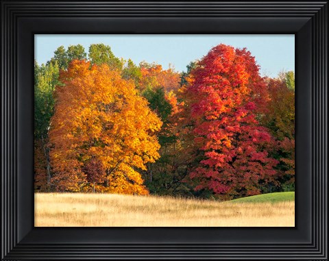 Framed Autumn In The Upper Peninsula Of The Hiawatha National Forest Print