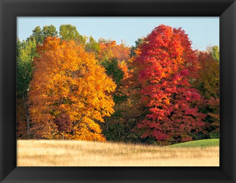 Framed Autumn In The Upper Peninsula Of The Hiawatha National Forest Print