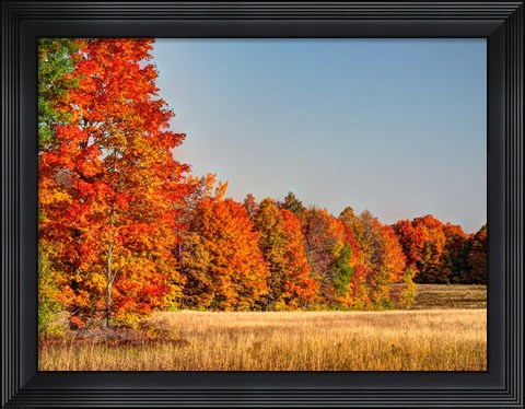 Framed Fall Colors Of The Hiawatha National Forest Print