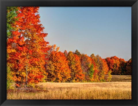 Framed Fall Colors Of The Hiawatha National Forest Print