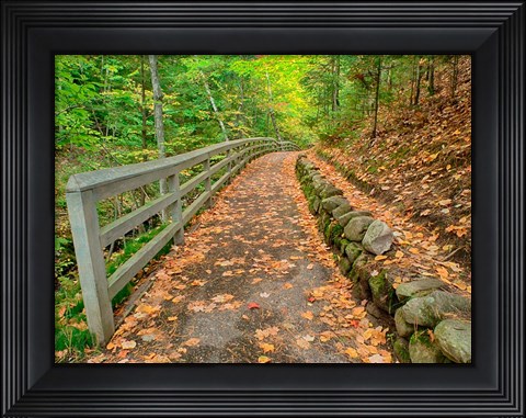 Framed Autumn Trail Leading To Munising Falls Print