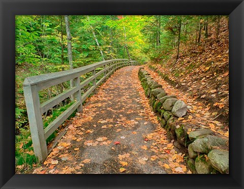 Framed Autumn Trail Leading To Munising Falls Print