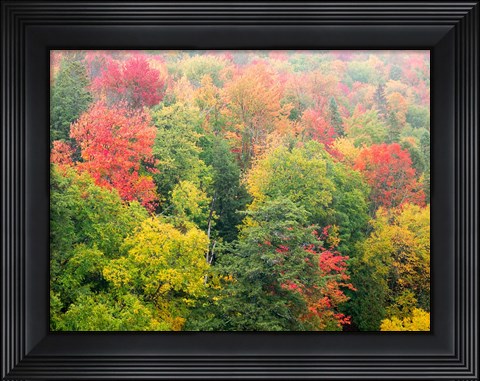 Framed Forest Above The Cut River Bridge, Michigan Print