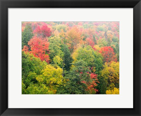 Framed Forest Above The Cut River Bridge, Michigan Print