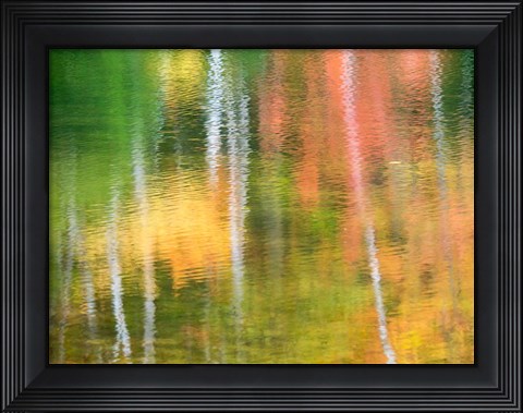 Framed Panned Motion Blur Of An Autumn Woodland Reflection Print