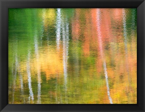 Framed Panned Motion Blur Of An Autumn Woodland Reflection Print