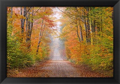 Framed Autumn Road In Schoolcraft County, Michigan Print