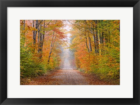 Framed Autumn Road In Schoolcraft County, Michigan Print