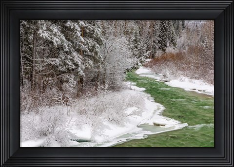 Framed Coal Creek In The Winter, Montana Print