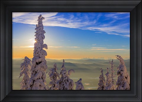 Framed Snowghosts In Whitefish, Montana Print
