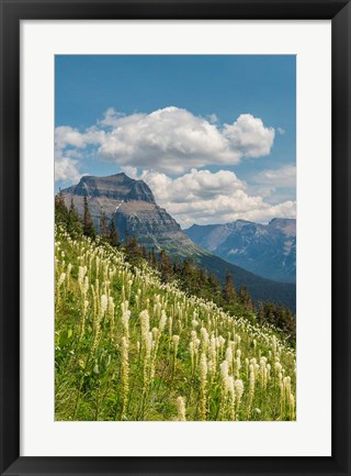 Framed Beargrass As Seen From Glacier National Park Print