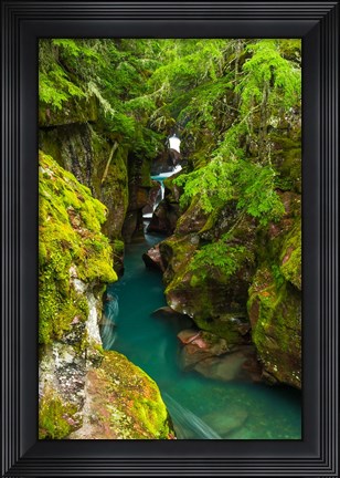 Framed Avalanche Creek, Glacier National Park, Montana Print