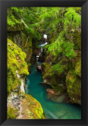 Framed Avalanche Creek, Glacier National Park, Montana Print