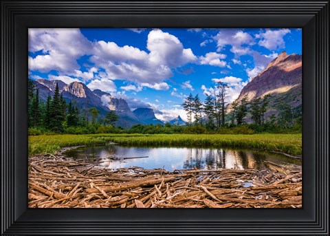 Framed Driftwood And Pond, Saint Mary Lake, Glacier National Park, Montana Print