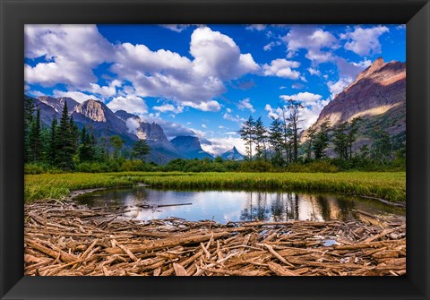 Framed Driftwood And Pond, Saint Mary Lake, Glacier National Park, Montana Print