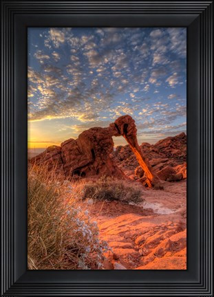 Framed Elephant Rock, Valley Of Fire State Park, Nevada Print