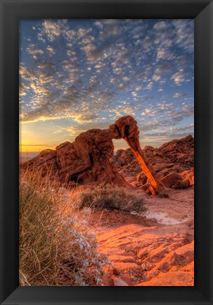 Framed Elephant Rock, Valley Of Fire State Park, Nevada Print