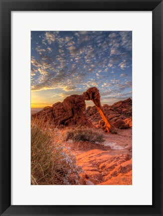 Framed Elephant Rock, Valley Of Fire State Park, Nevada Print