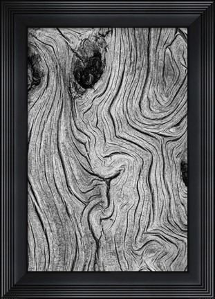 Framed Detail Of Weathered Wood, Nevada Print