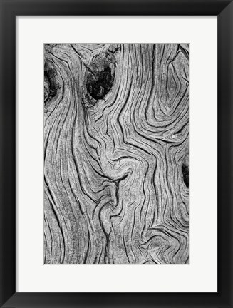Framed Detail Of Weathered Wood, Nevada Print