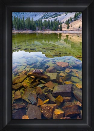 Framed Stella Lake, Great Basin National Park, Nevada Print
