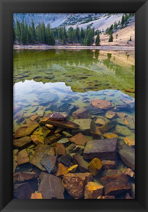 Framed Stella Lake, Great Basin National Park, Nevada Print