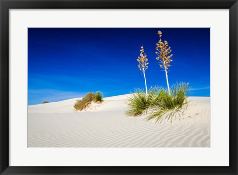 Framed Soaptree Yucca And Dunes, White Sands National Monument, New Mexico Print