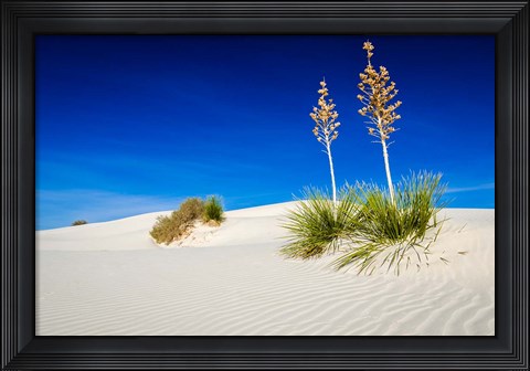 Framed Soaptree Yucca And Dunes, White Sands National Monument, New Mexico Print