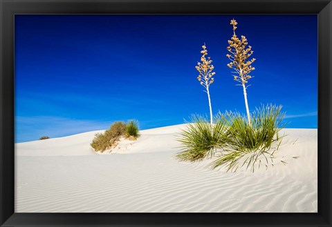 Framed Soaptree Yucca And Dunes, White Sands National Monument, New Mexico Print