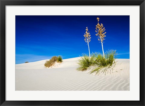 Framed Soaptree Yucca And Dunes, White Sands National Monument, New Mexico Print