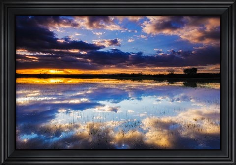 Framed Wetlands At Sunrise, Bosque Del Apache National Wildlife Refuge, New Mexico Print