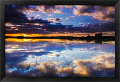 Framed Wetlands At Sunrise, Bosque Del Apache National Wildlife Refuge, New Mexico Print