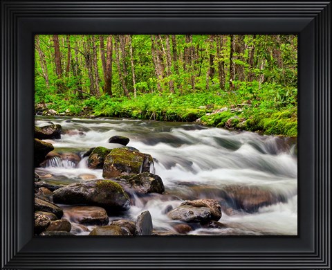 Framed Water Flows At Straight Fork, North Carolina Print