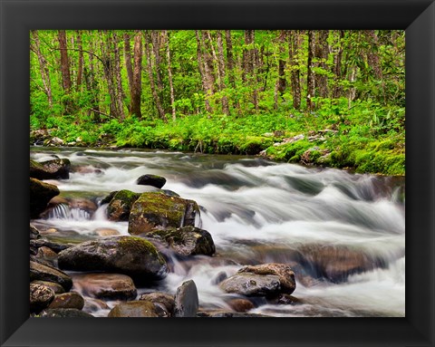 Framed Water Flows At Straight Fork, North Carolina Print