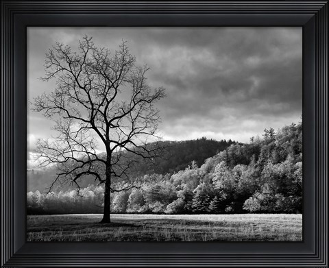 Framed Storm Clearing At Dawn In Cataloochee Valley, North Carolina (BW) Print