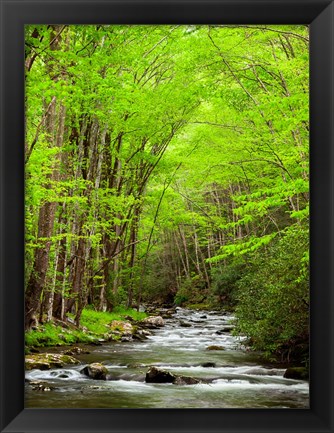 Framed Straight Fork River, North Carolina Print