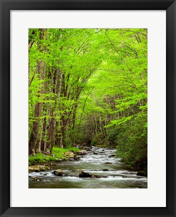 Framed Straight Fork River, North Carolina Print