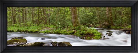 Framed Panoramic Of Straight Fork Creek In Spring, North Carolina Print